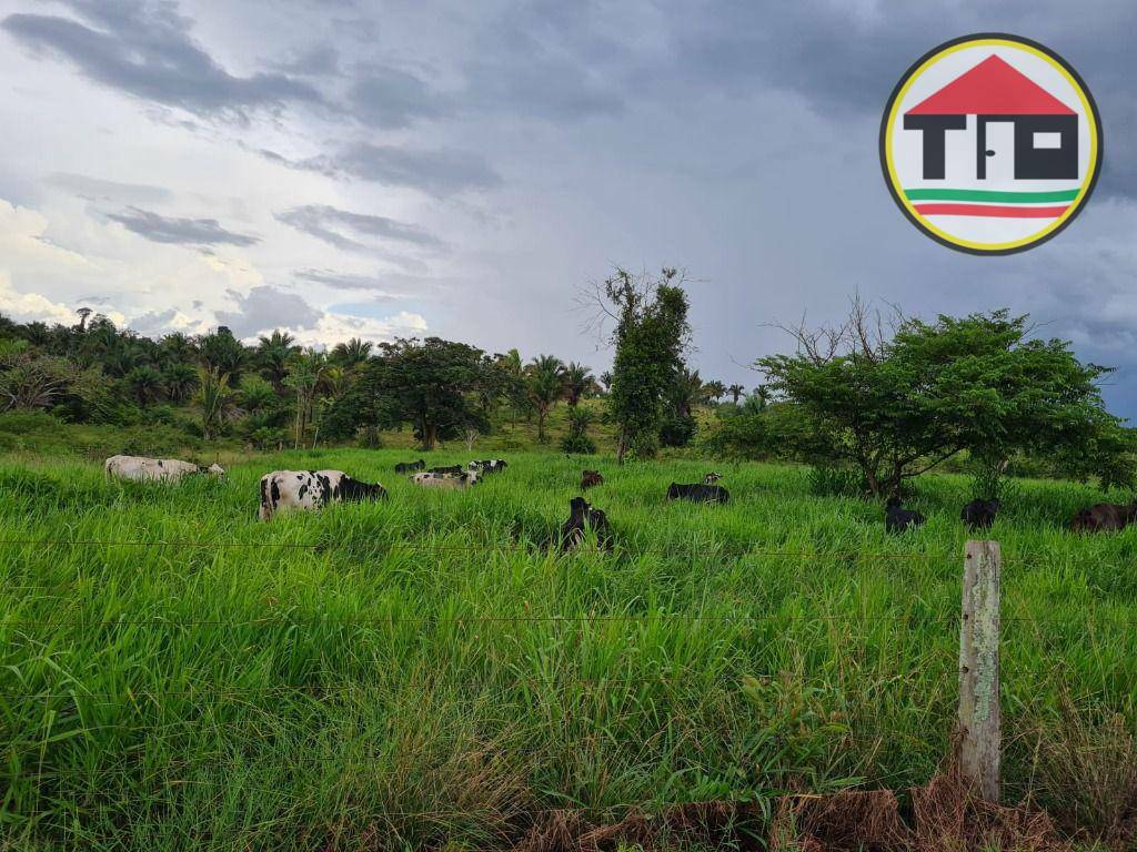 Fazenda à venda, 3388000M2 - Foto 7