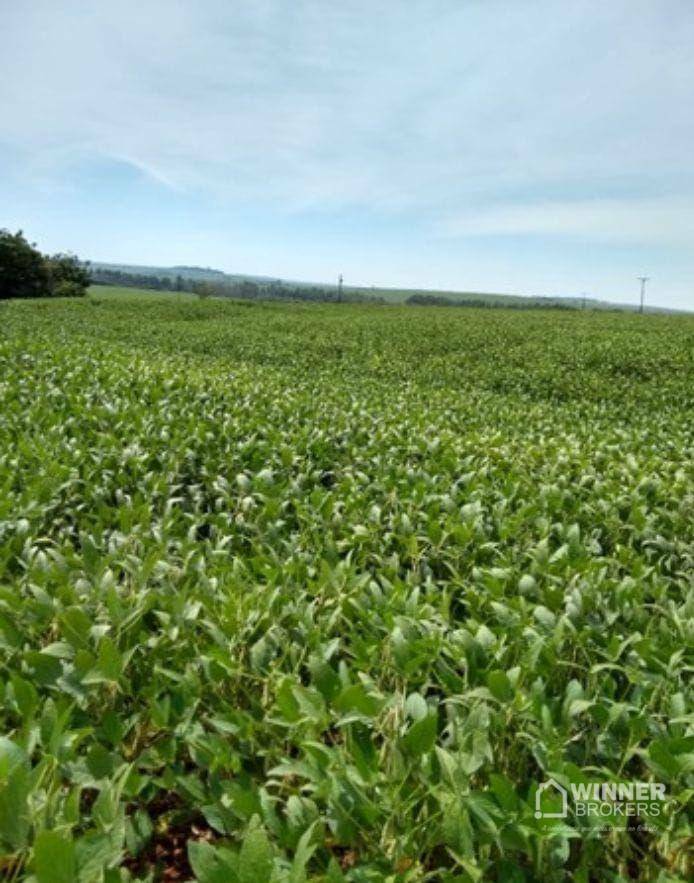 Fazenda-Sítio-Chácara, 7 hectares - Foto 2