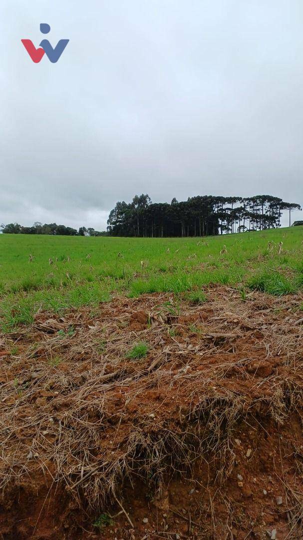 Fazenda à venda, 254100000M2 - Foto 7