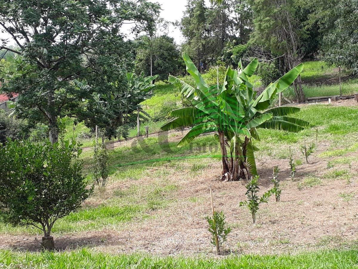 Fazenda à venda com 2 quartos, 5000m² - Foto 10