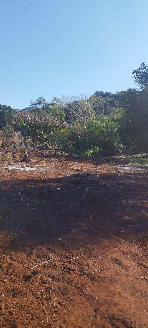 Chácara, 3375 m² - Foto 4