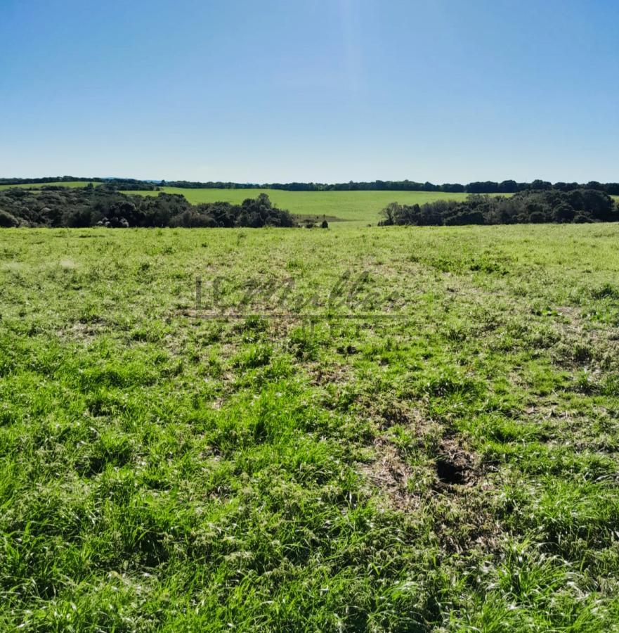 Fazenda à venda, 375m² - Foto 7