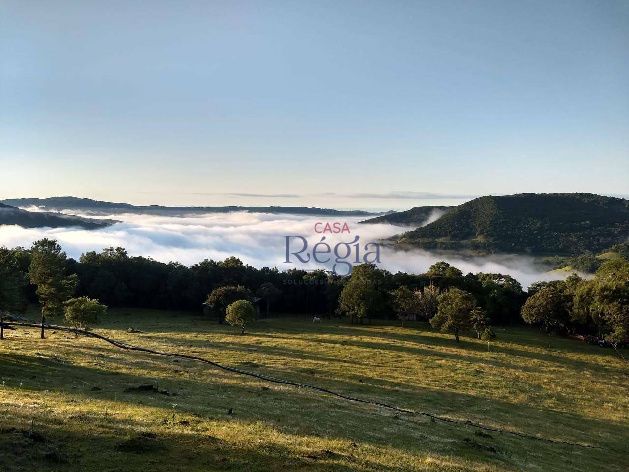 Sítio à venda com 3 quartos, 312229M2 - Foto 25