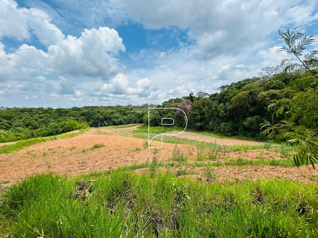 Terreno, 5 hectares - Foto 5