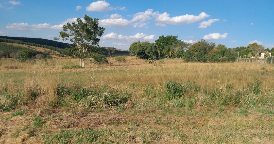 Chácara à venda, 5000m² - Foto 6