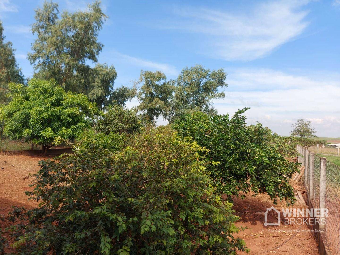 Chácara à venda com 3 quartos, 1500M2 - Foto 46