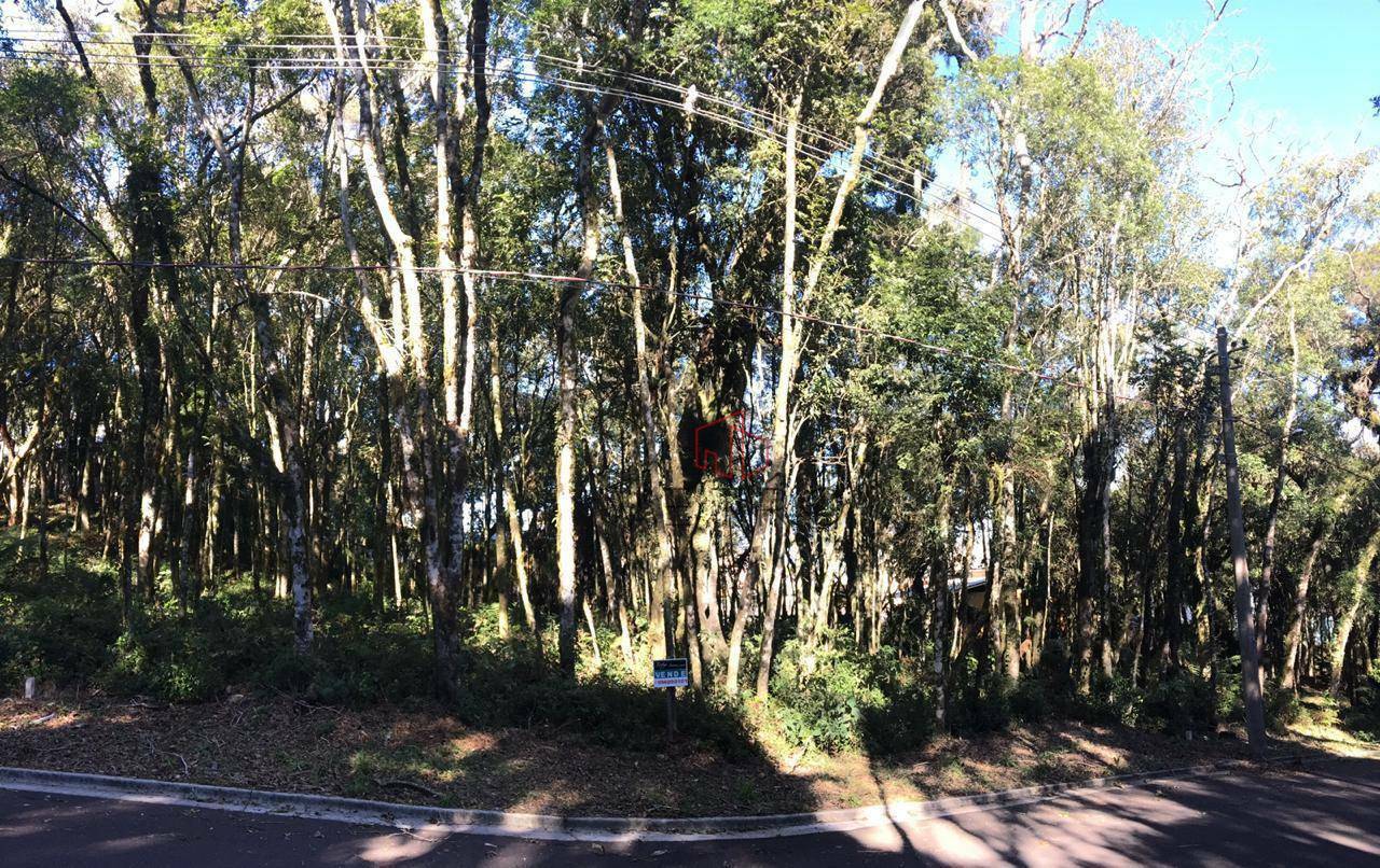 Loteamento e Condomínio à venda, 805M2 - Foto 4