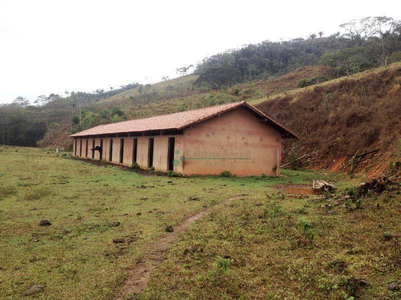 Fazenda à venda com 4 quartos, 240m² - Foto 8