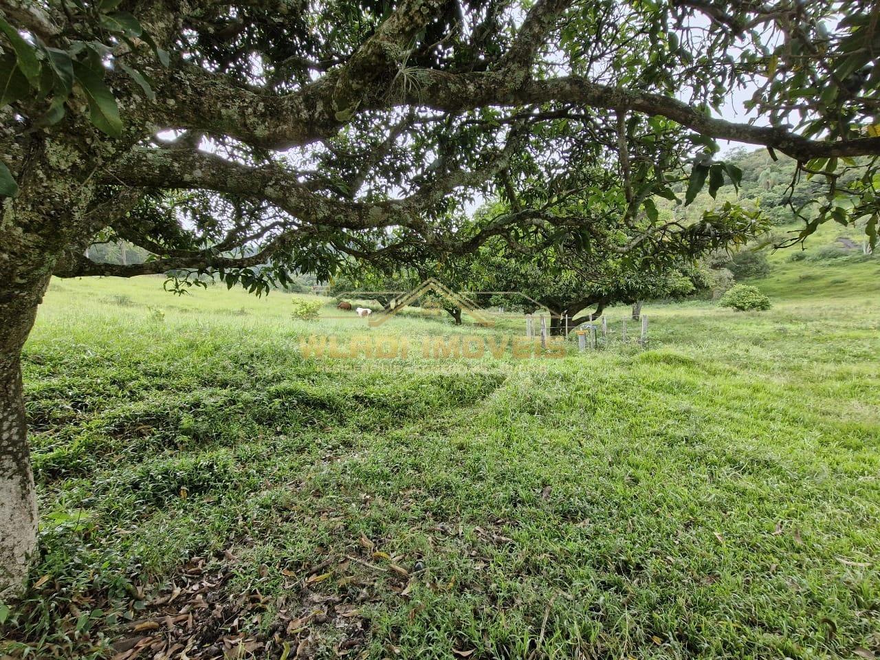 Fazenda à venda, 20m² - Foto 12