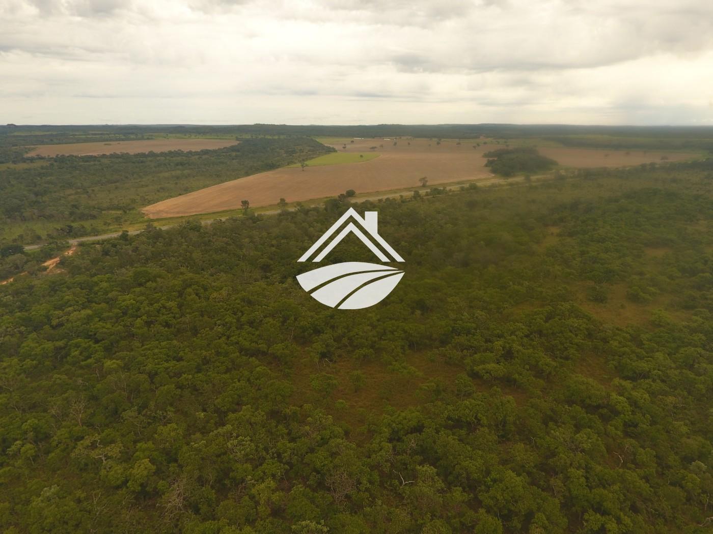 Fazenda à venda, 1m² - Foto 21
