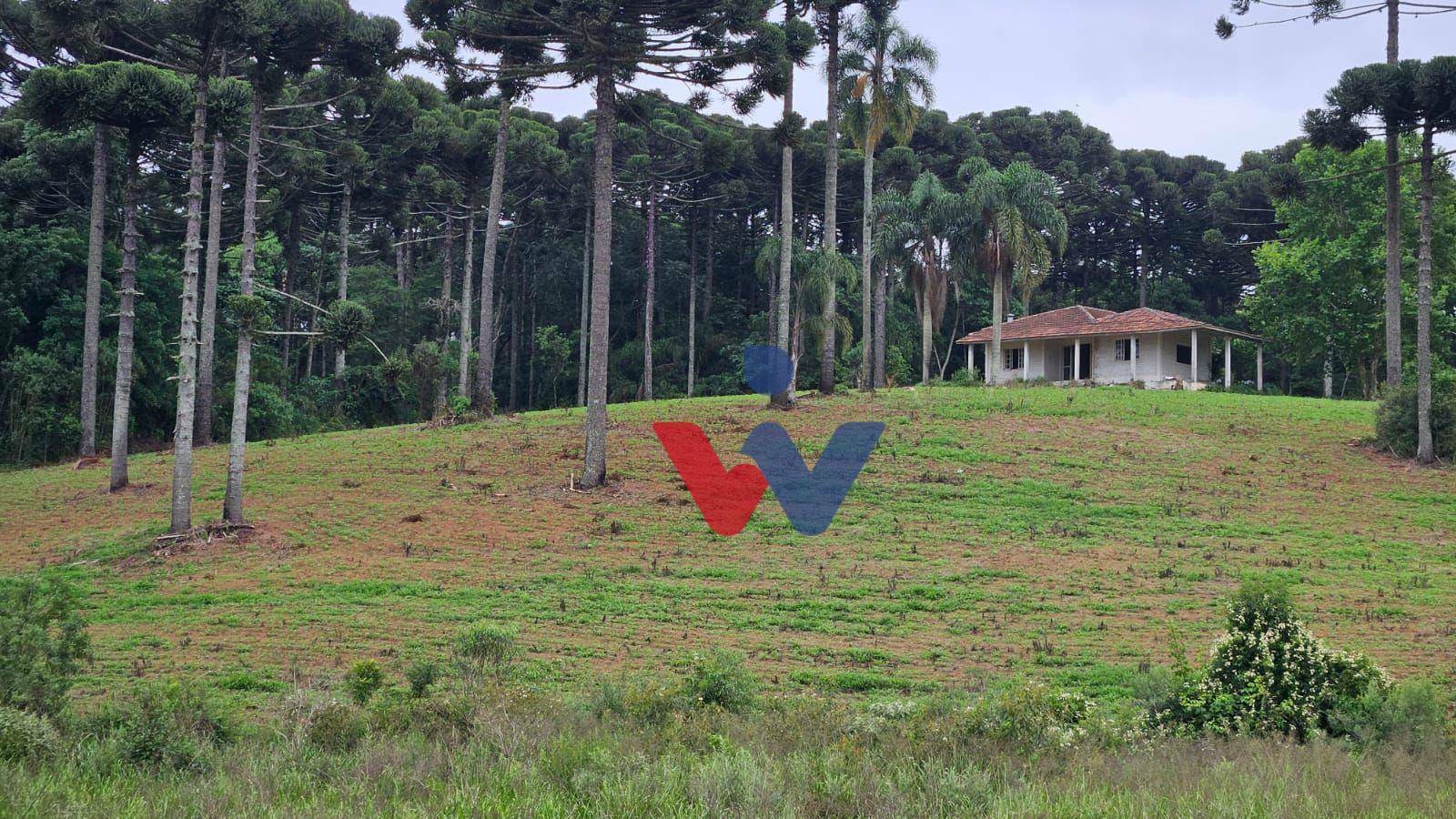 Fazenda à venda com 3 quartos, 1694000M2 - Foto 7