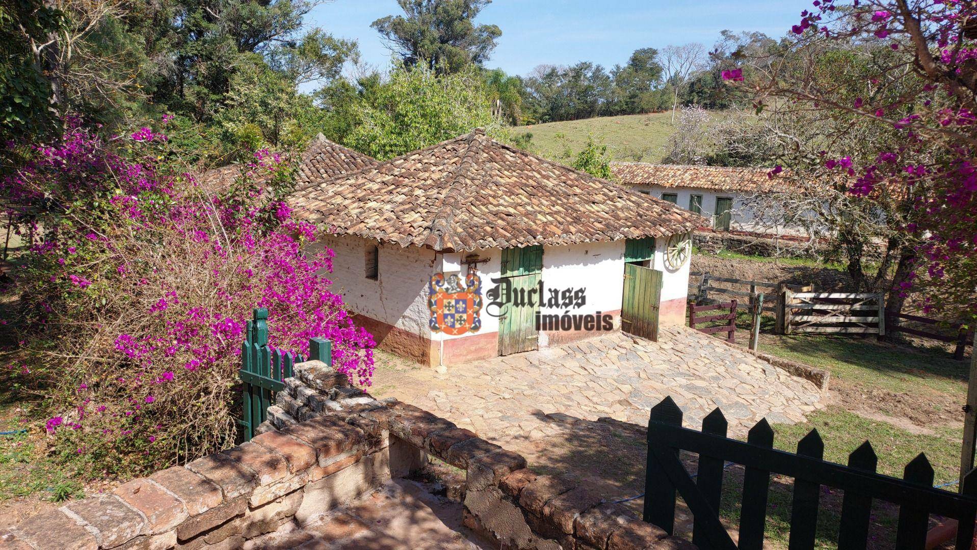 Fazenda à venda com 6 quartos, 500m² - Foto 58