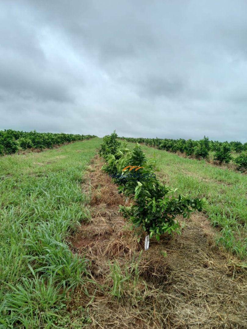 Fazenda à venda, 2250600M2 - Foto 21