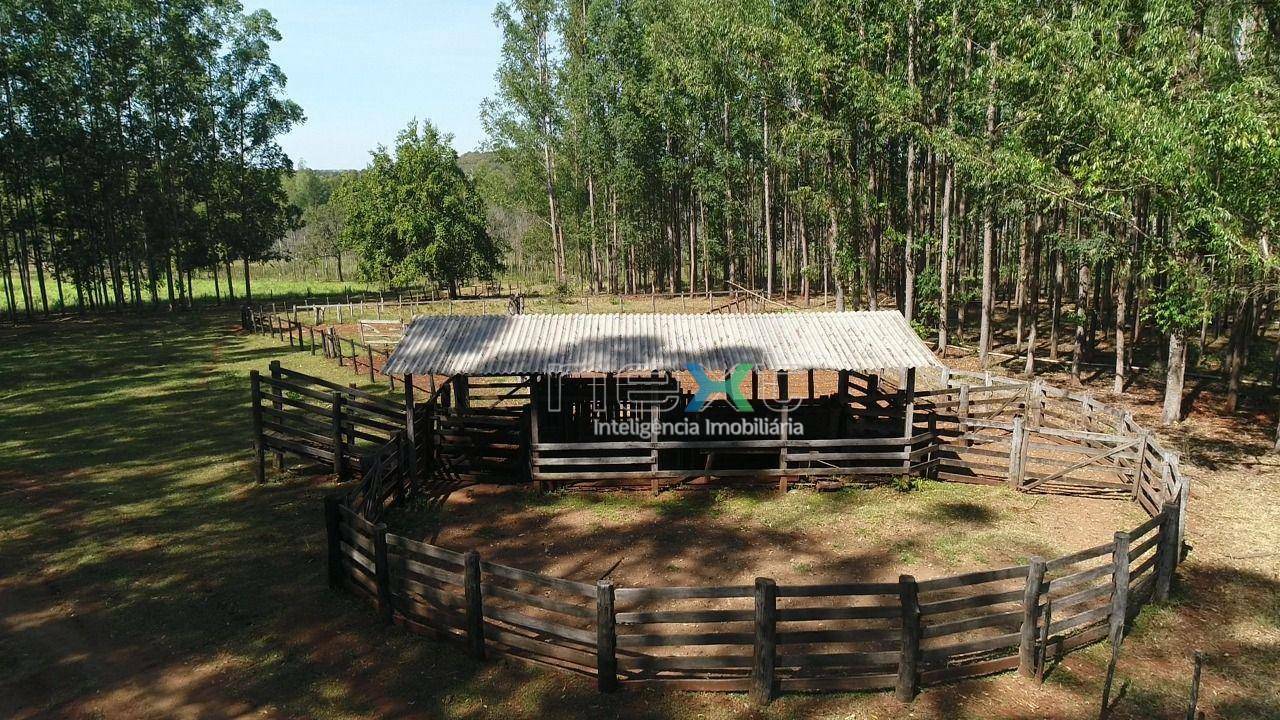 Fazenda à venda, 4000000M2 - Foto 4