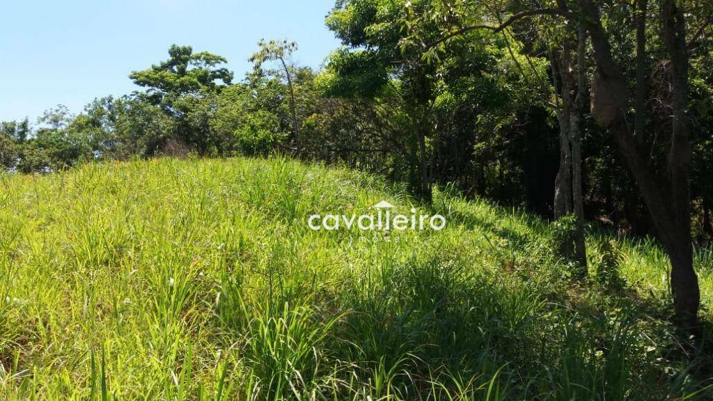 Terreno à venda, 5980M2 - Foto 4