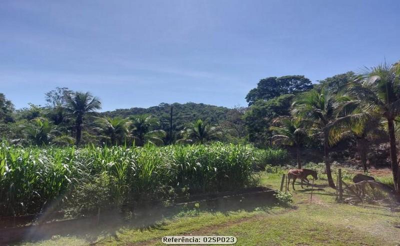 Fazenda à venda com 2 quartos, 110000m² - Foto 16