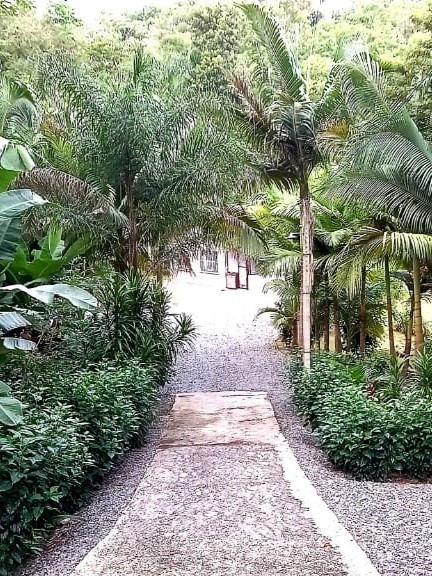 Sítio à venda com 2 quartos, 24987m² - Foto 5