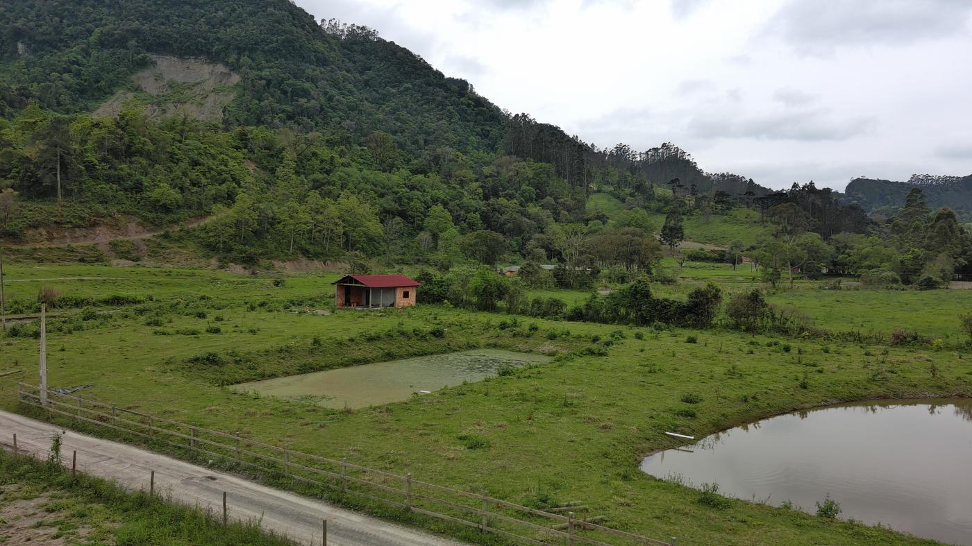 Fazenda à venda com 1 quarto, 10000m² - Foto 37