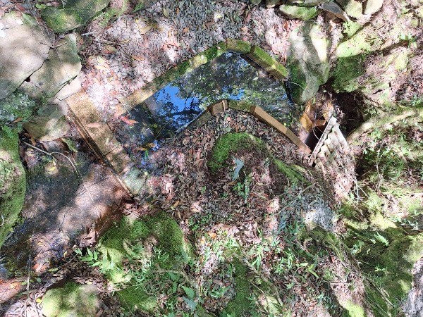 Sítio, 2 hectares - Foto 5