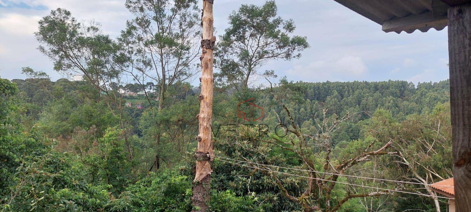 Terreno à venda, 832M2 - Foto 1