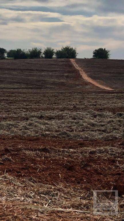 Fazenda à venda, 26136000M2 - Foto 11