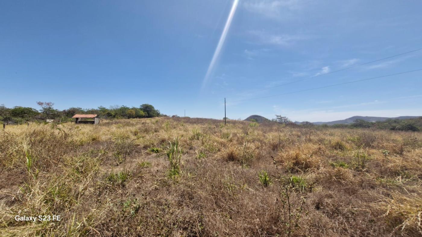 Fazenda à venda com 4 quartos, 1180000m² - Foto 11