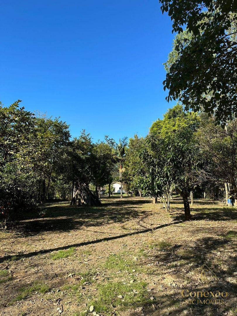 Chácara, 3 quartos, 5000 m² - Foto 44