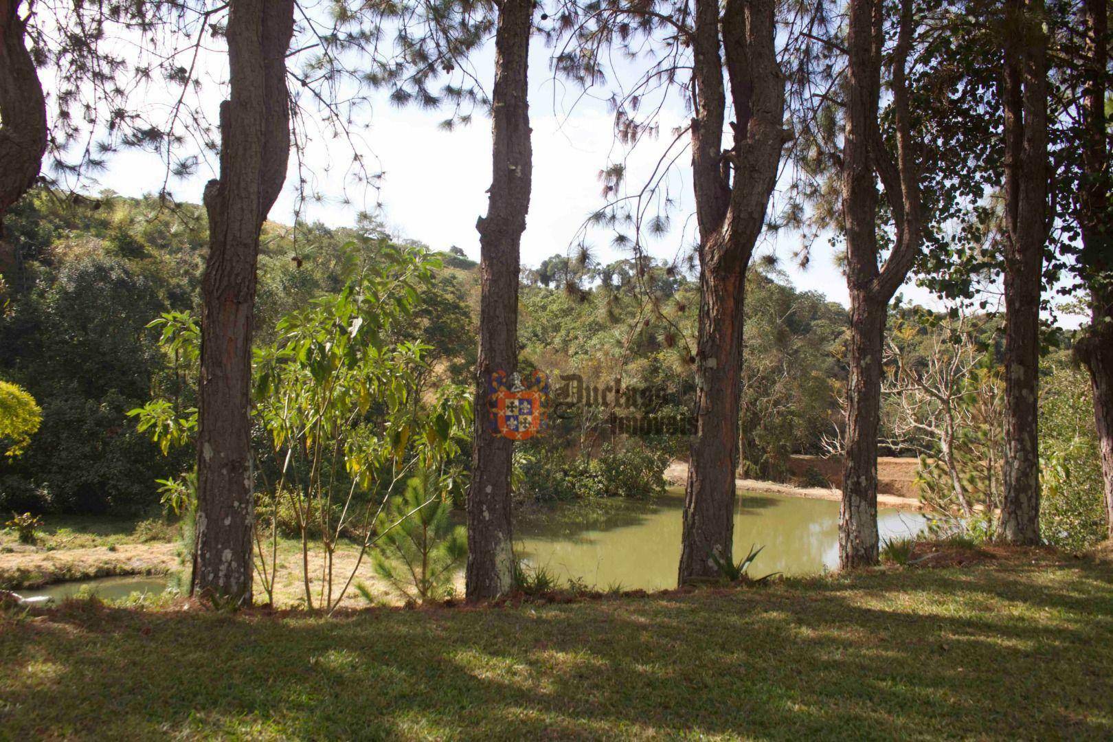 Sítio à venda com 19 quartos, 1859m² - Foto 3