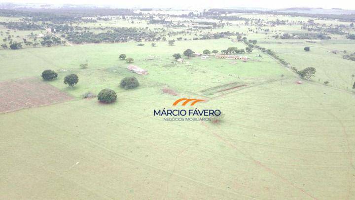 Fazenda, 135 hectares - Foto 1