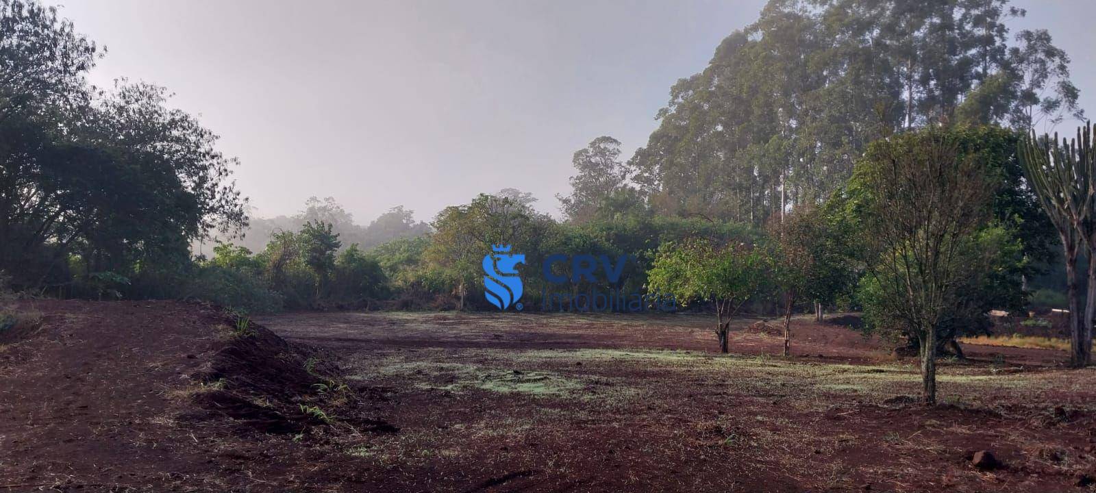 Sítio, 3 hectares - Foto 13