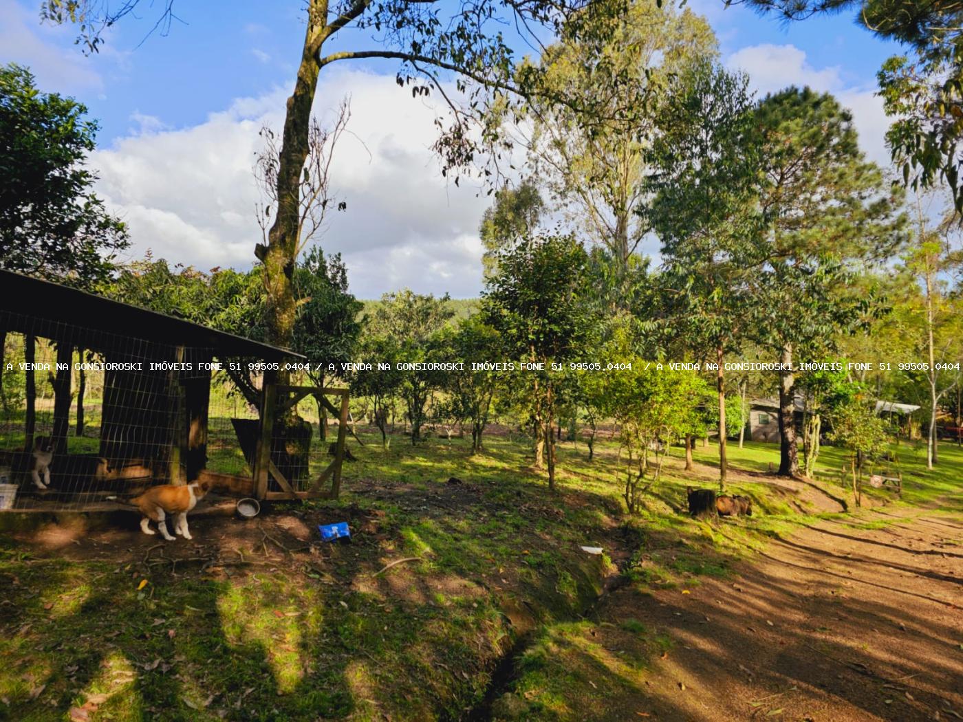 Sítio à venda, 30000m² - Foto 4