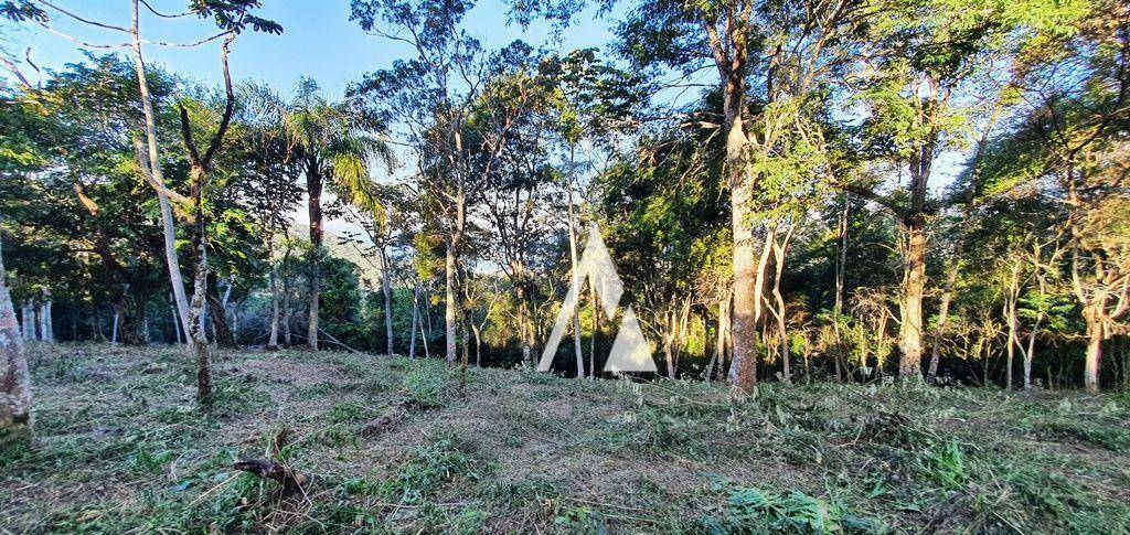 Terreno à venda, 4500M2 - Foto 8