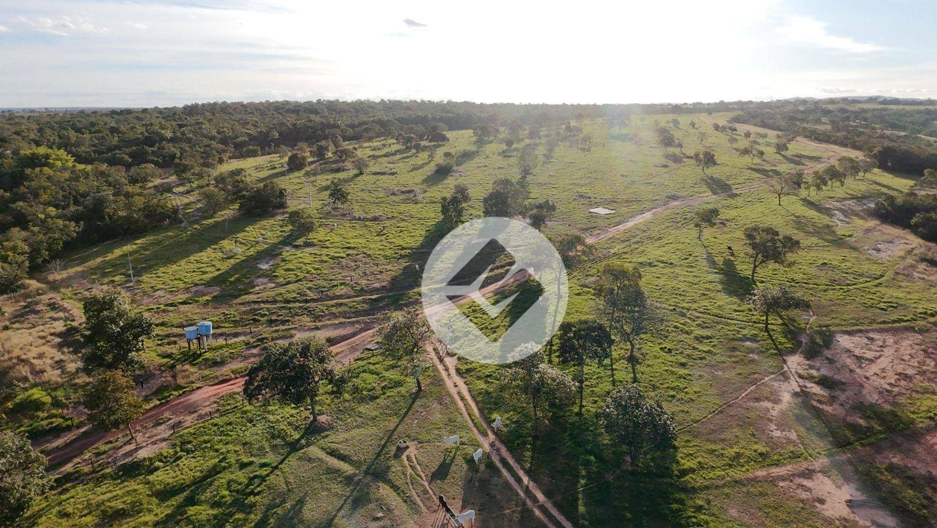 Fazenda à venda, 2500000M2 - Foto 15