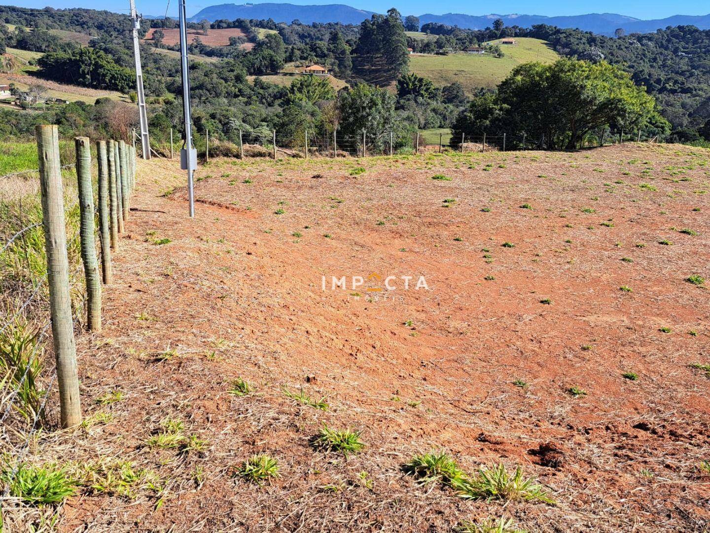 Terreno à venda, 2000M2 - Foto 4