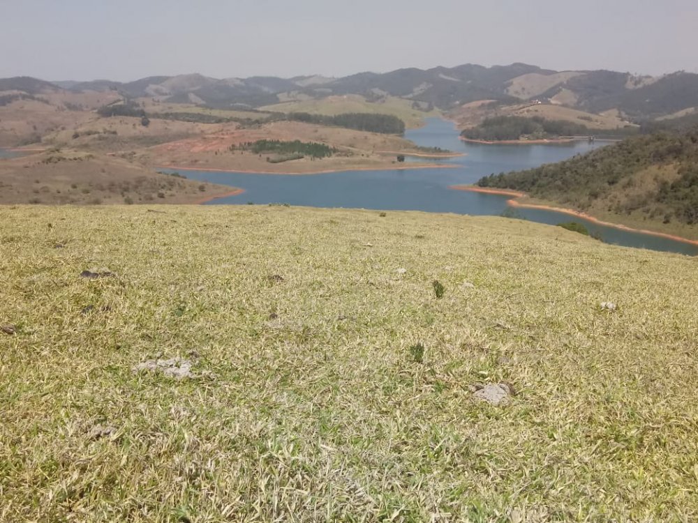 Terreno à venda, 600000m² - Foto 5