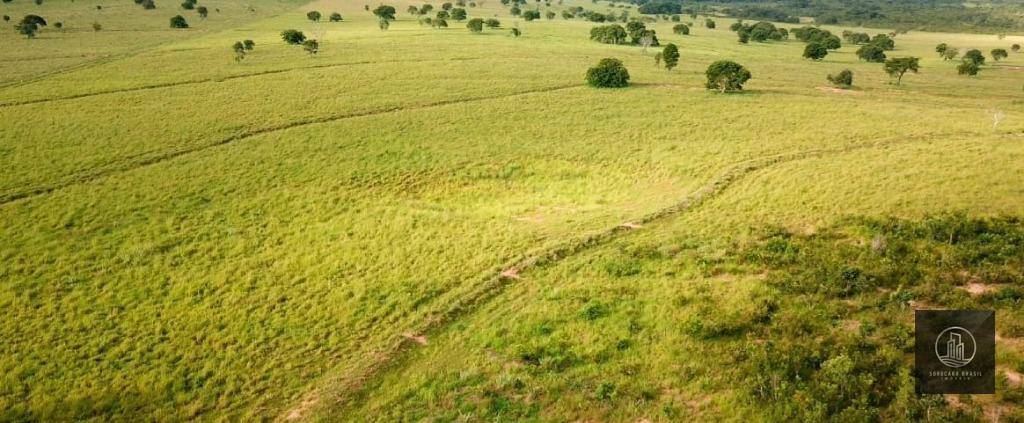 Fazenda à venda, 47720000M2 - Foto 20