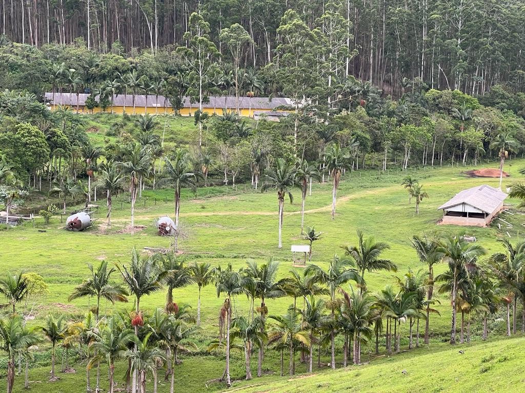 Fazenda à venda, 660000m² - Foto 5