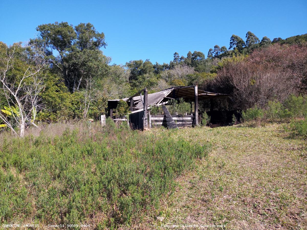 Fazenda à venda com 4 quartos, 160000m² - Foto 20