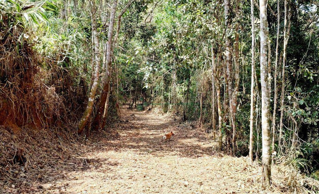 Terreno à venda, 8450M2 - Foto 17