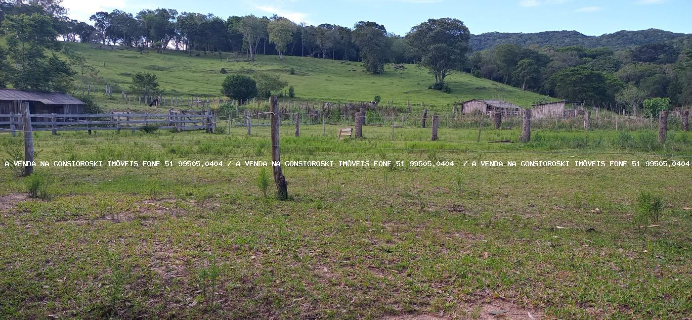 Fazenda à venda - Foto 25