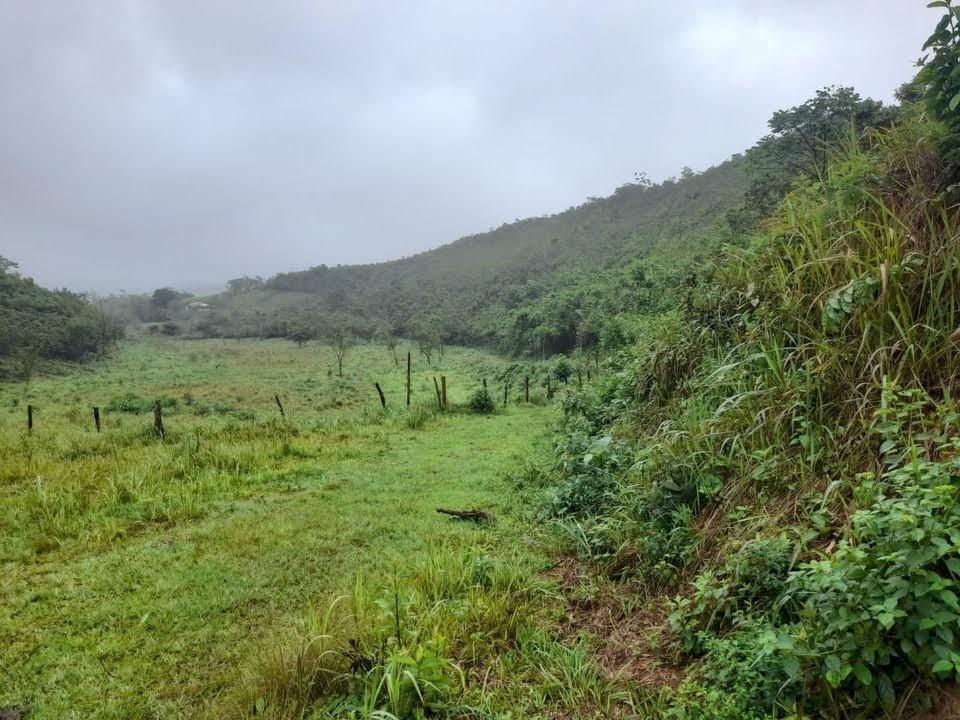 Fazenda à venda com 2 quartos, 17m² - Foto 7