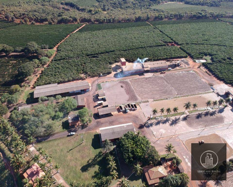 Fazenda-Sítio-Chácara, 1317 hectares - Foto 1