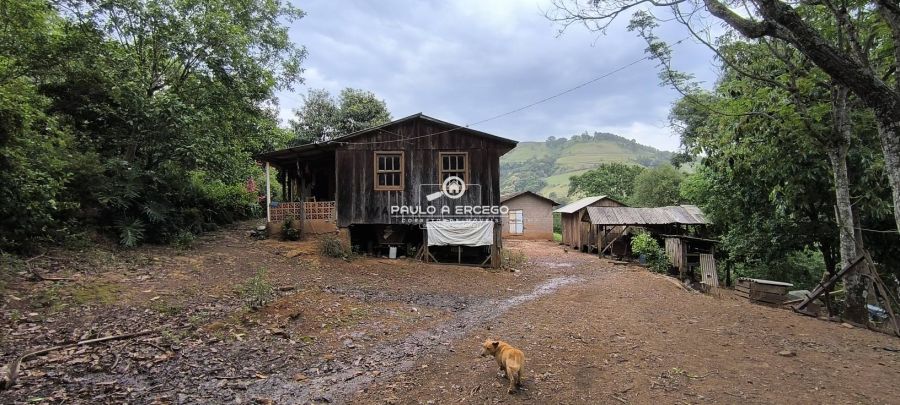 Sítio, 7 hectares - Foto 18