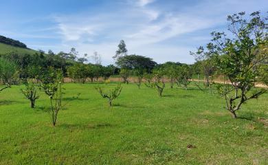 Fazenda à venda com 3 quartos, 96800m² - Foto 14