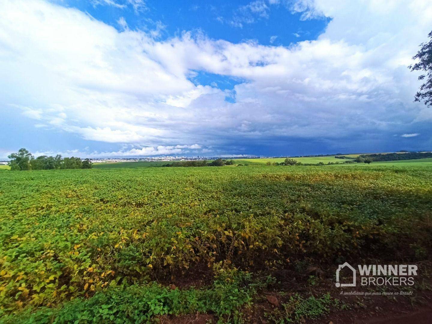 Terreno à venda, 242000M2 - Foto 3