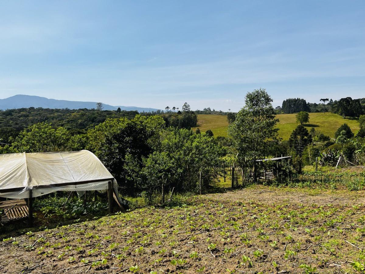 Fazenda à venda, 6300m² - Foto 42