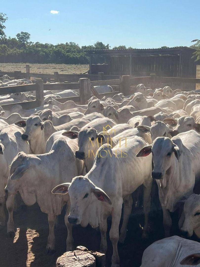 Fazenda à venda, 53380000M2 - Foto 2