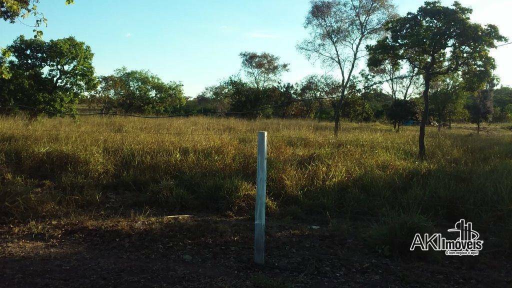 Fazenda à venda com 2 quartos, 4500000M2 - Foto 16