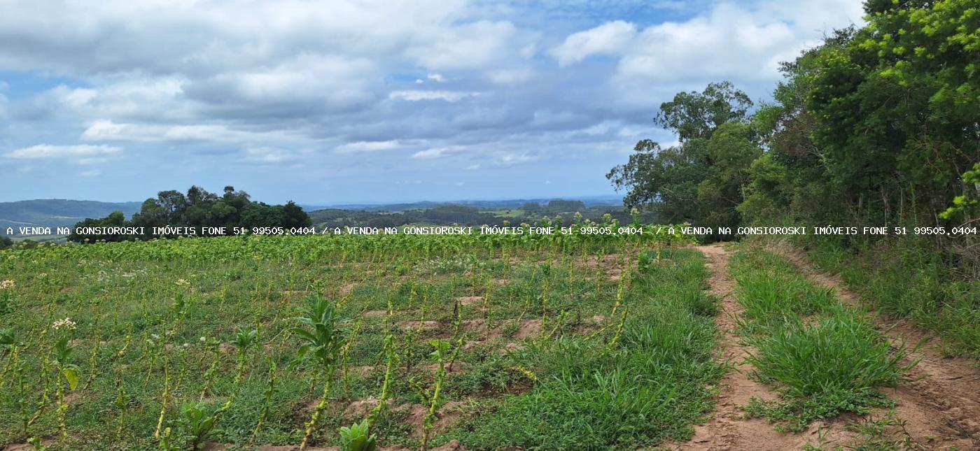 Loteamento e Condomínio à venda, 125000m² - Foto 8