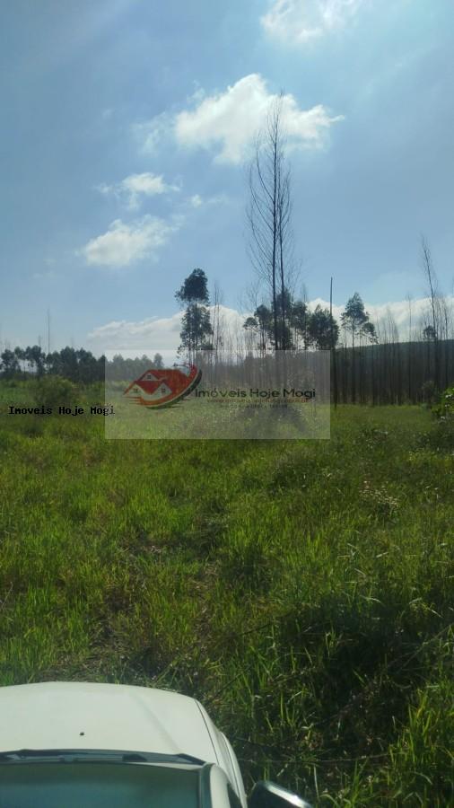 Terreno à venda, 5000m² - Foto 8